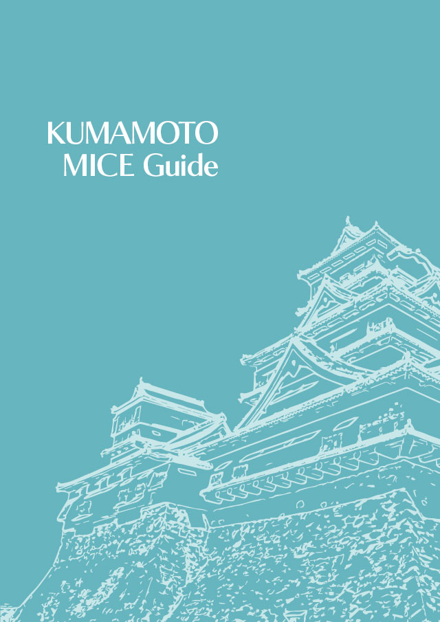 MICE GUIDE