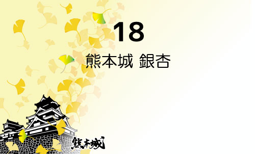 18 熊本城 銀杏