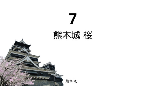 7 熊本城 桜